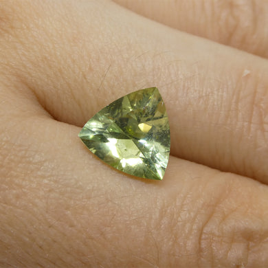 3.29ct Trillion Green Tourmaline from Brazil - Skyjems Wholesale Gemstones