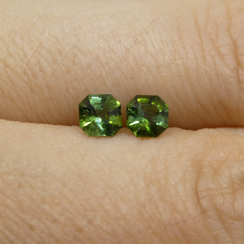 0.8ct Asscher Green Tourmaline Pair from Brazil, matched octagonal step-cut gemstones by SkyJems Canadian gem experts