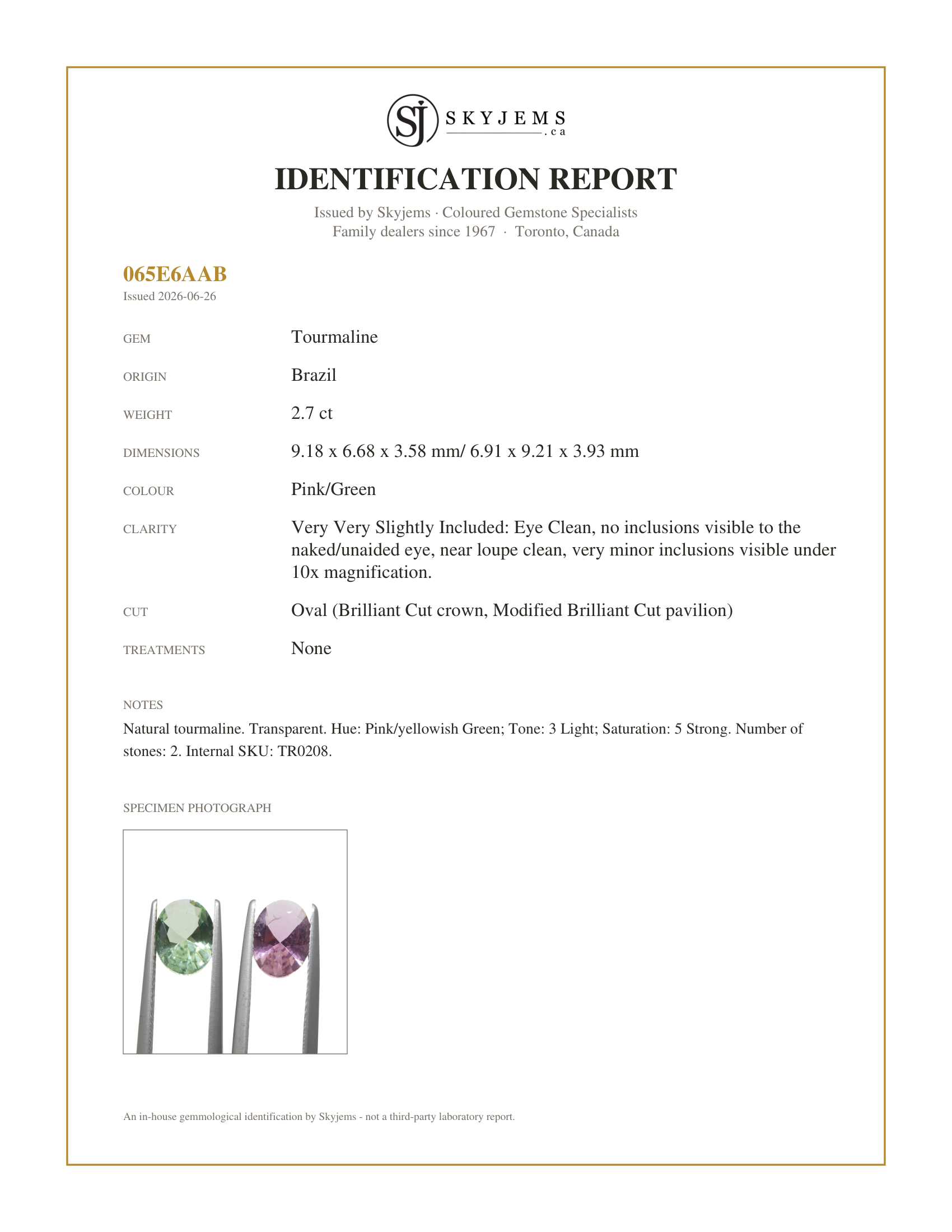 Skyjems Identification Report for TR0208 — 2.7ct Pair Oval Pink/Green Tourmaline
