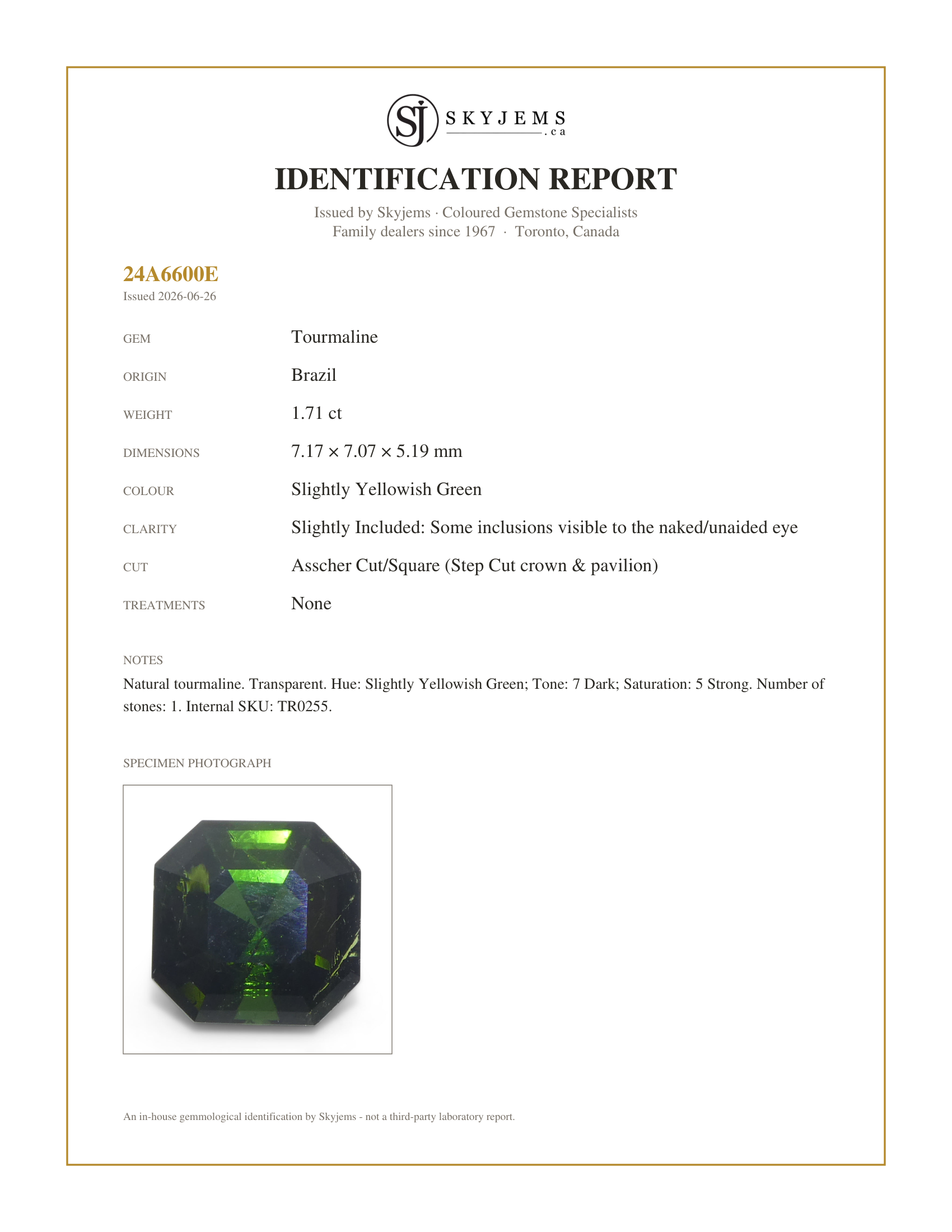 Skyjems Identification Report for TR0255 — 1.71ct Asscher Cut/Square Green Tourmaline