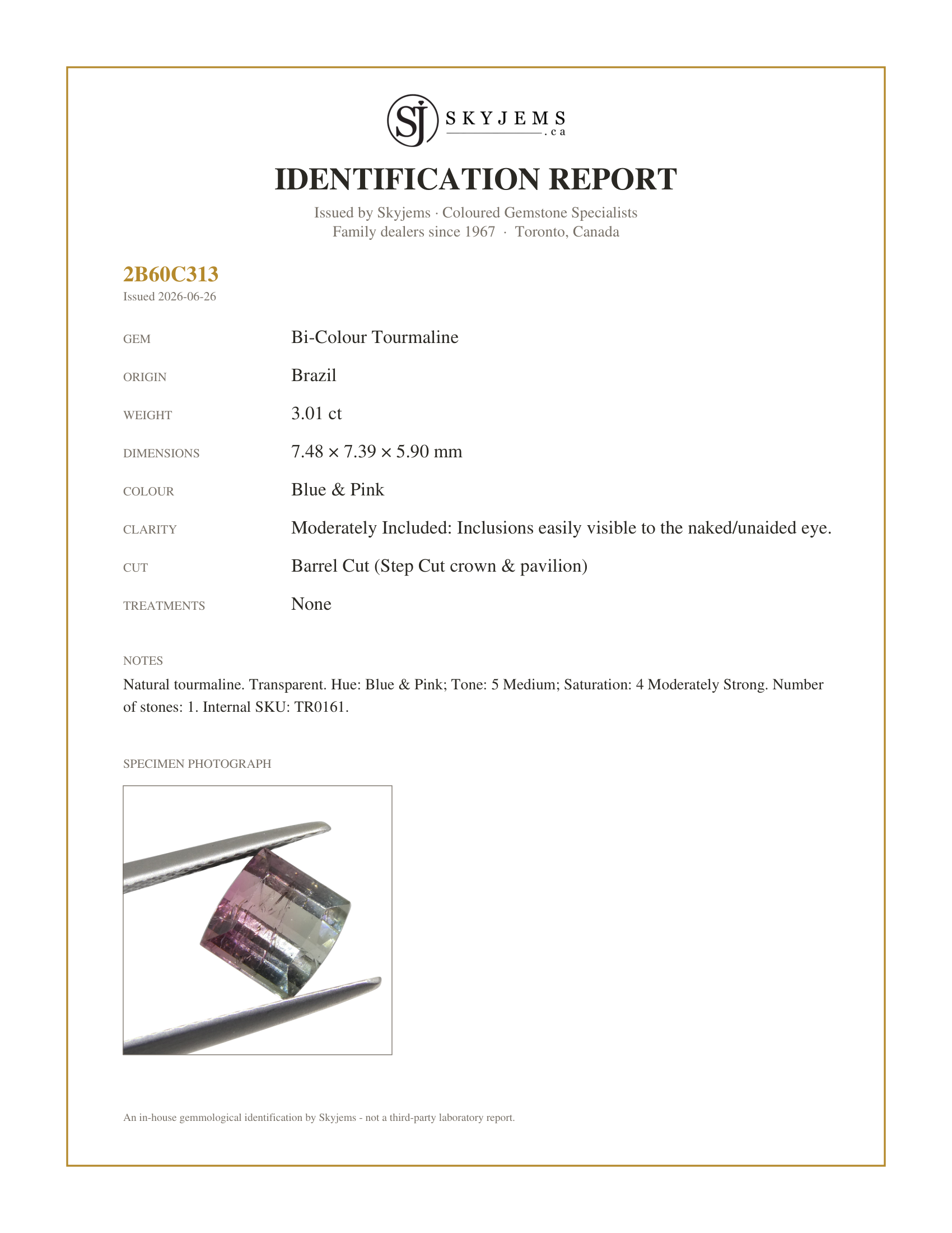 Skyjems Identification Report for TR0161 — 3.01ct Barrel Cut Blue & Pink Bi-Colour Tourmaline
