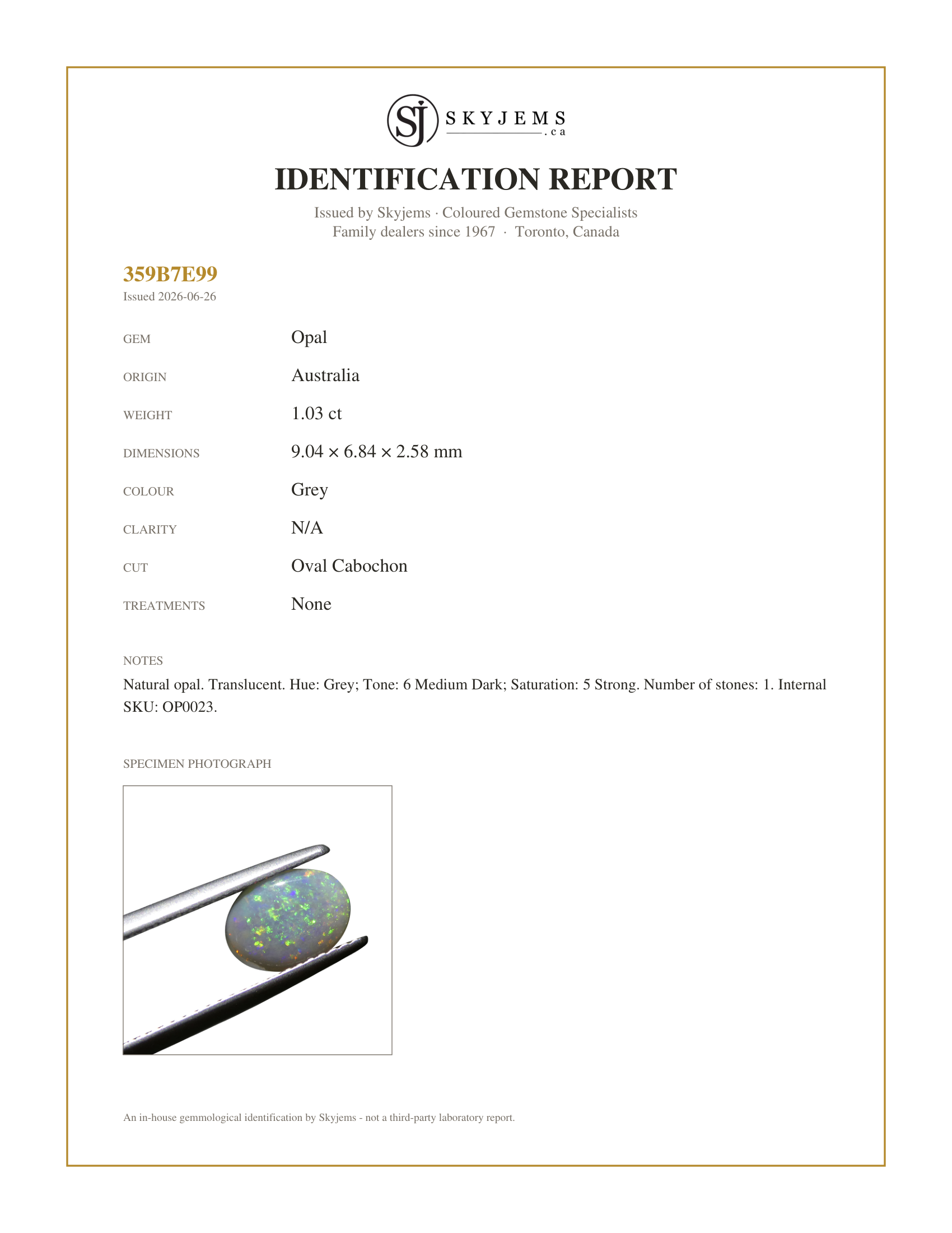 Skyjems Identification Report for OP0023 — 1.03ct Oval Cabochon Grey Opal from Australia