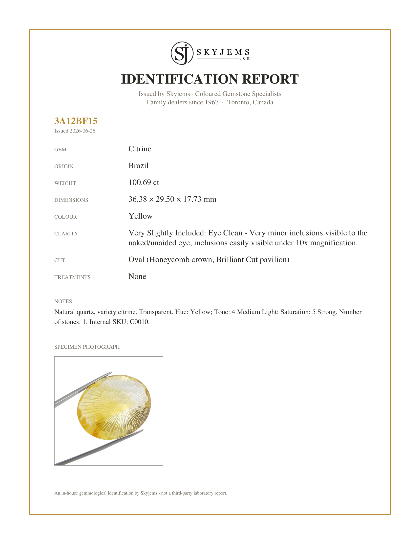 Skyjems Identification Report for C0010 — 100.69ct Oval Yellow Honeycomb Starburst Citrine