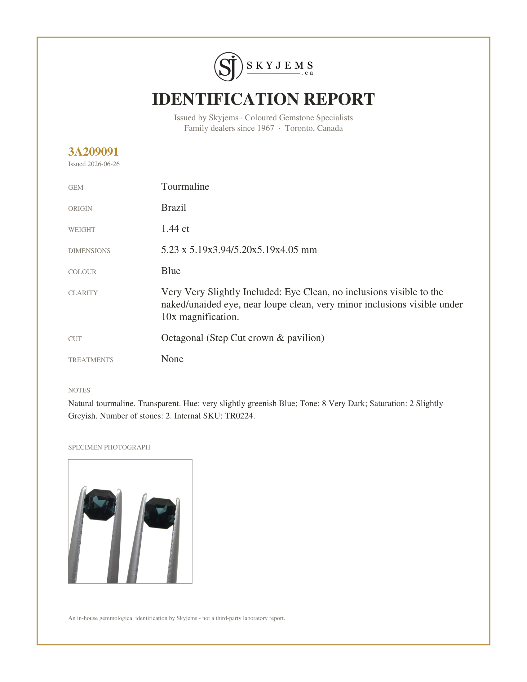 Skyjems Identification Report for TR0224 — 1.44ct Pair Asscher Blue Indicolite Tourmaline