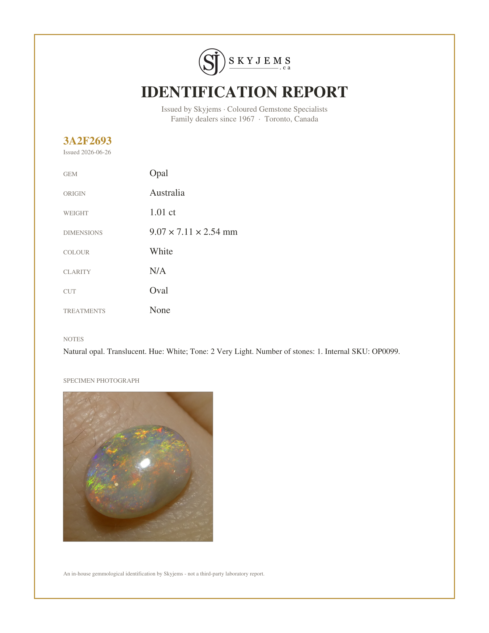 Skyjems Identification Report for OP0099 — 1.01ct Oval Cabochon White Opal from Australia