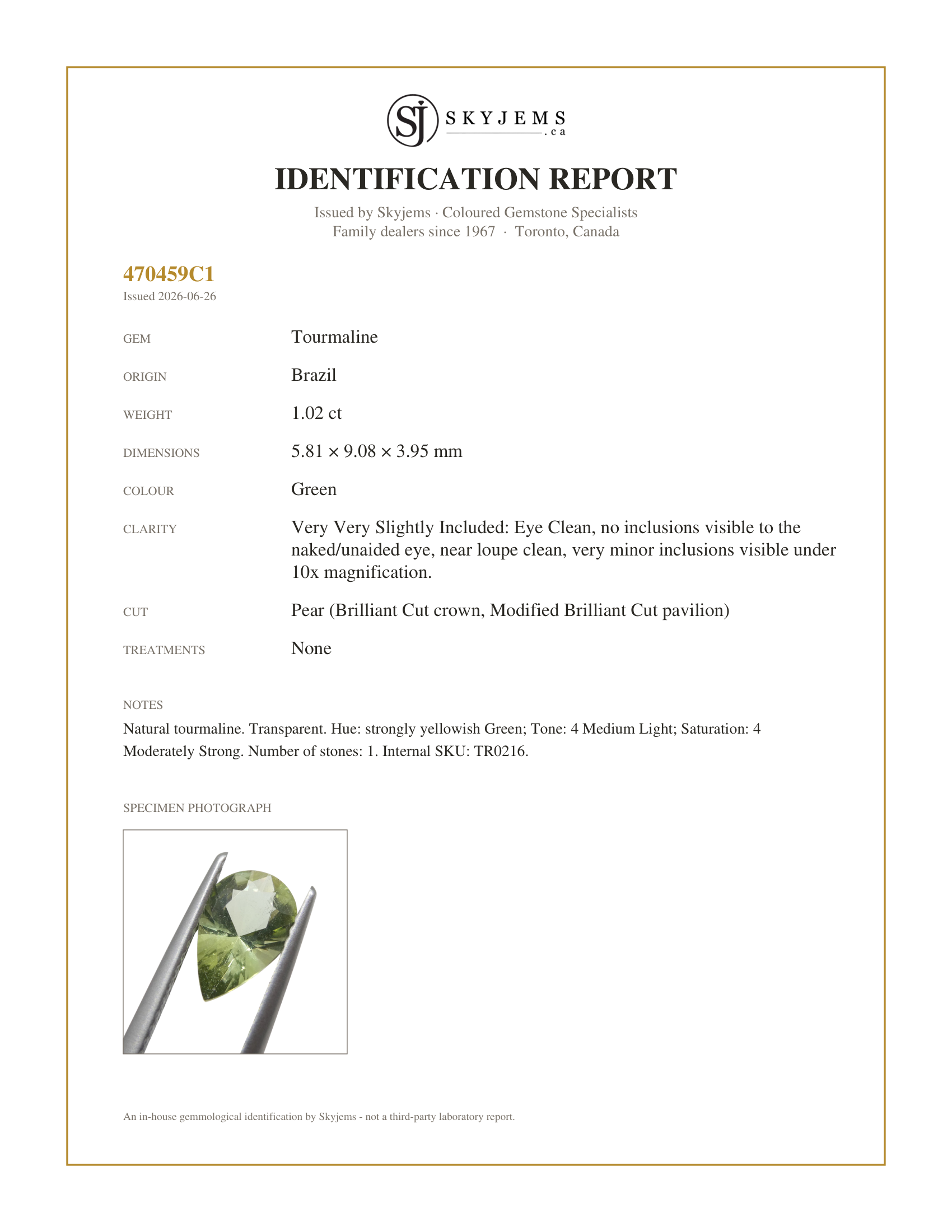 Skyjems Identification Report for TR0216 — 1.02ct Pear Green Tourmaline