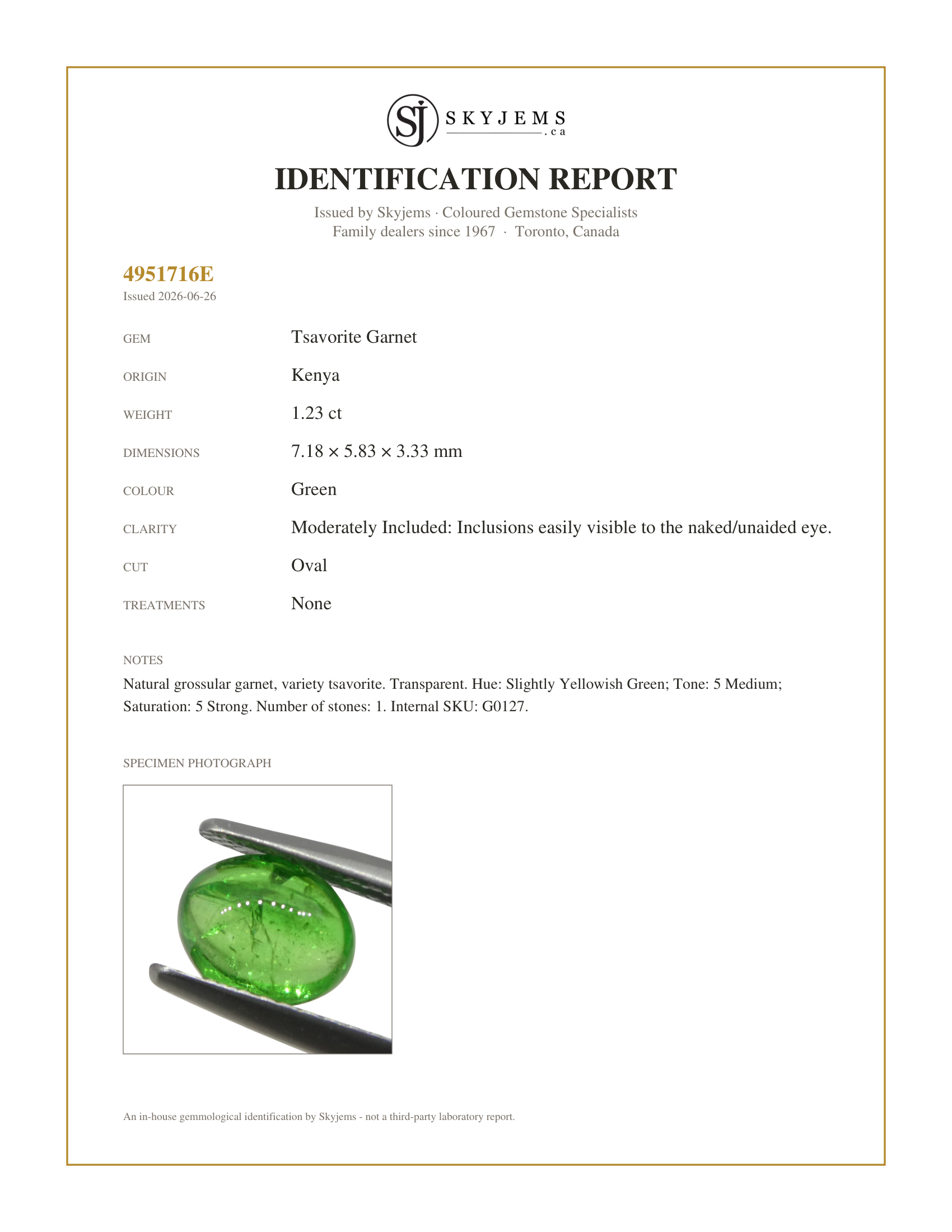 Skyjems Identification Report for G0127 — 1.23ct Oval Cabochon Green Tsavorite Garnet from Kenya, Unheated