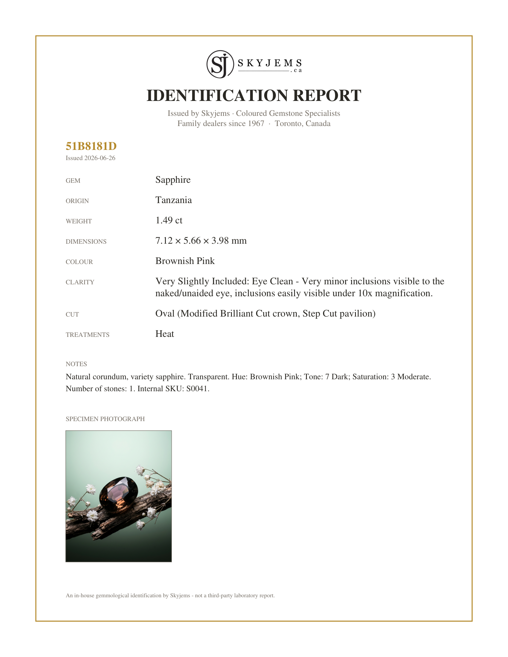 Skyjems Identification Report for S0041 — 1.49ct Oval Brownish Pink Sapphire from Tanzania