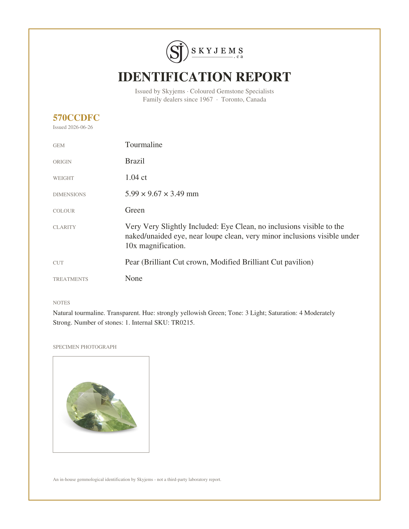 Skyjems Identification Report for TR0215 — 1.04ct Pear Green Tourmaline