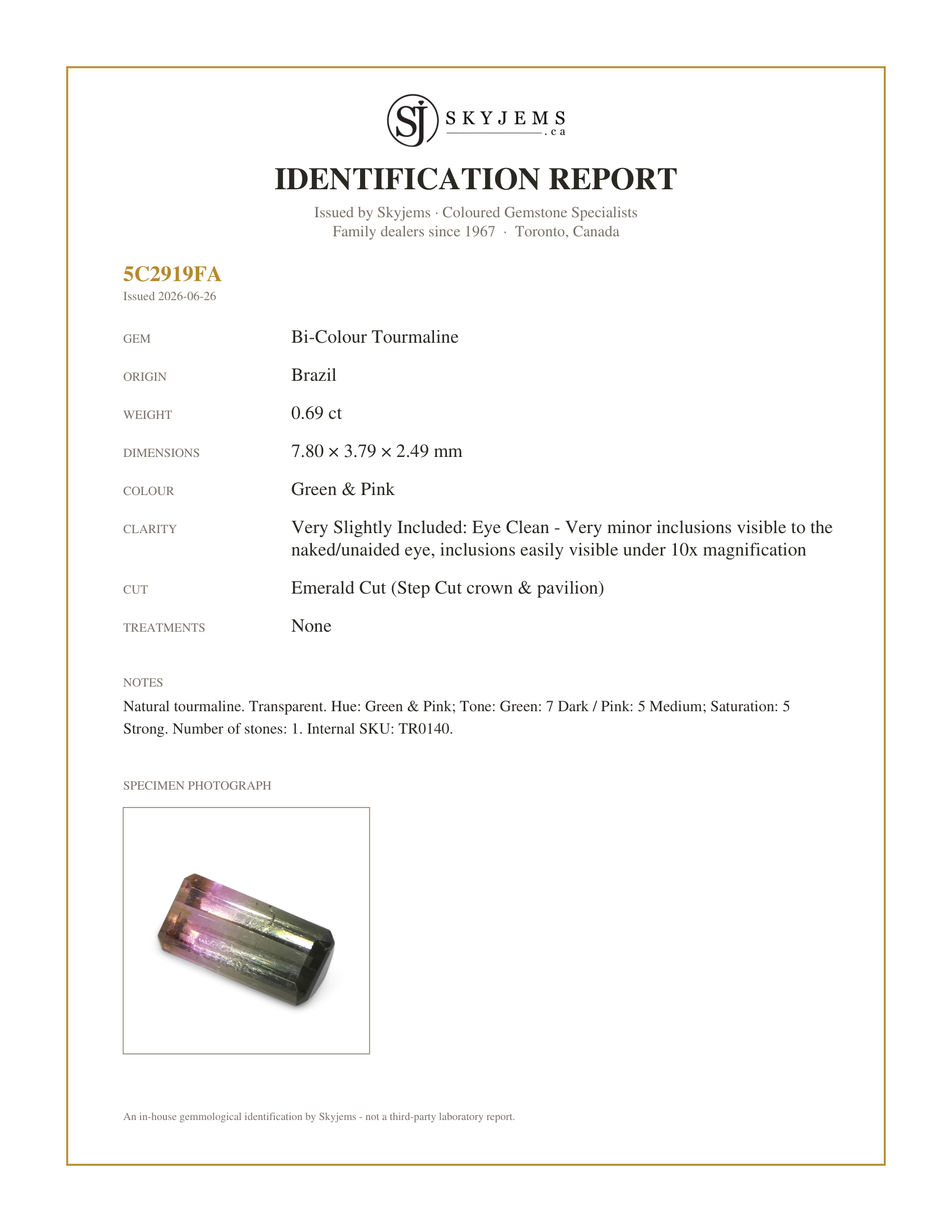Skyjems Identification Report for TR0140 — 0.69ct Emerald Cut Green & Pink Bi-Colour Tourmaline