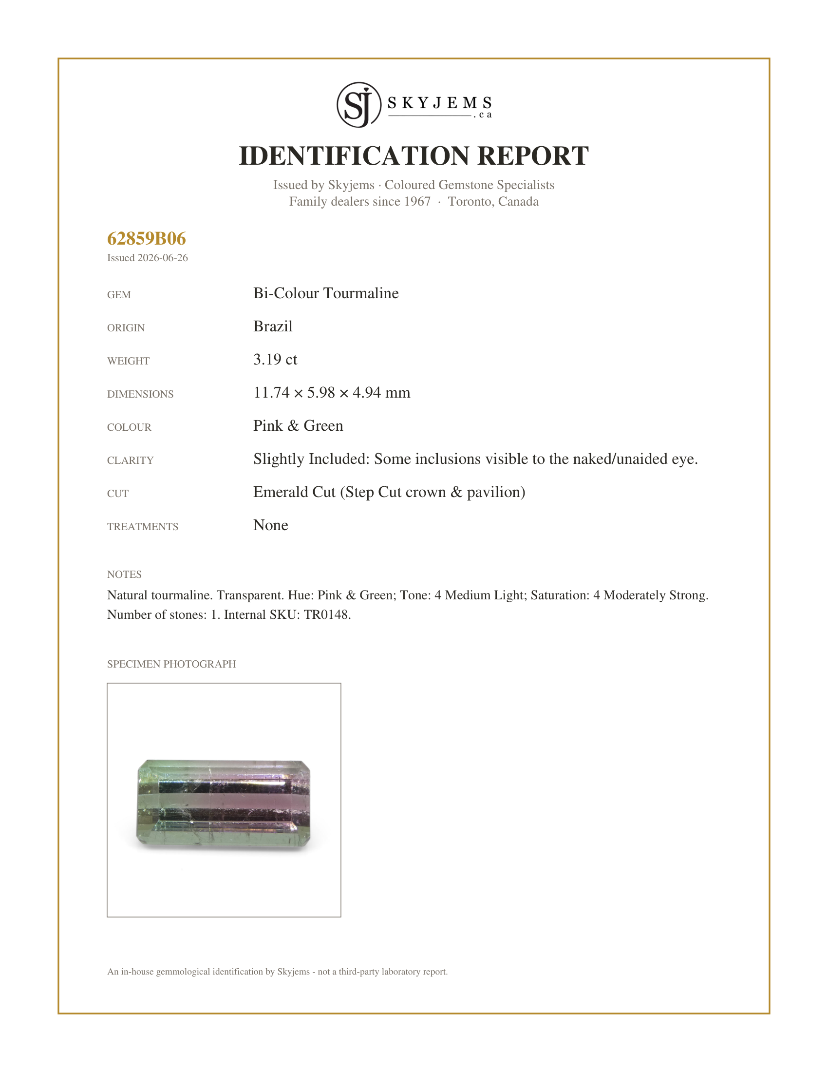 Skyjems Identification Report for TR0148 — 3.19ct Emerald Cut Pink & Green Bi-Colour Tourmaline