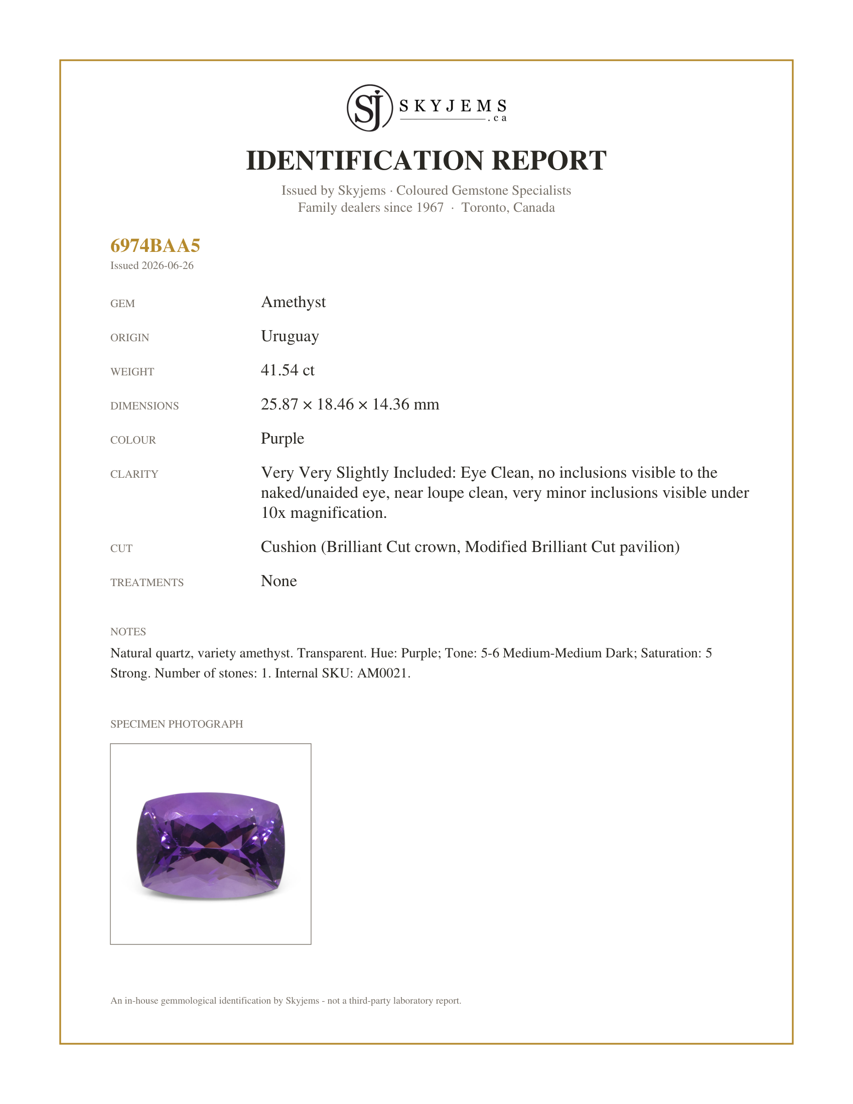 Skyjems Identification Report for AM0021 — 41.54ct Cushion Purple Amethyst from Uruguay