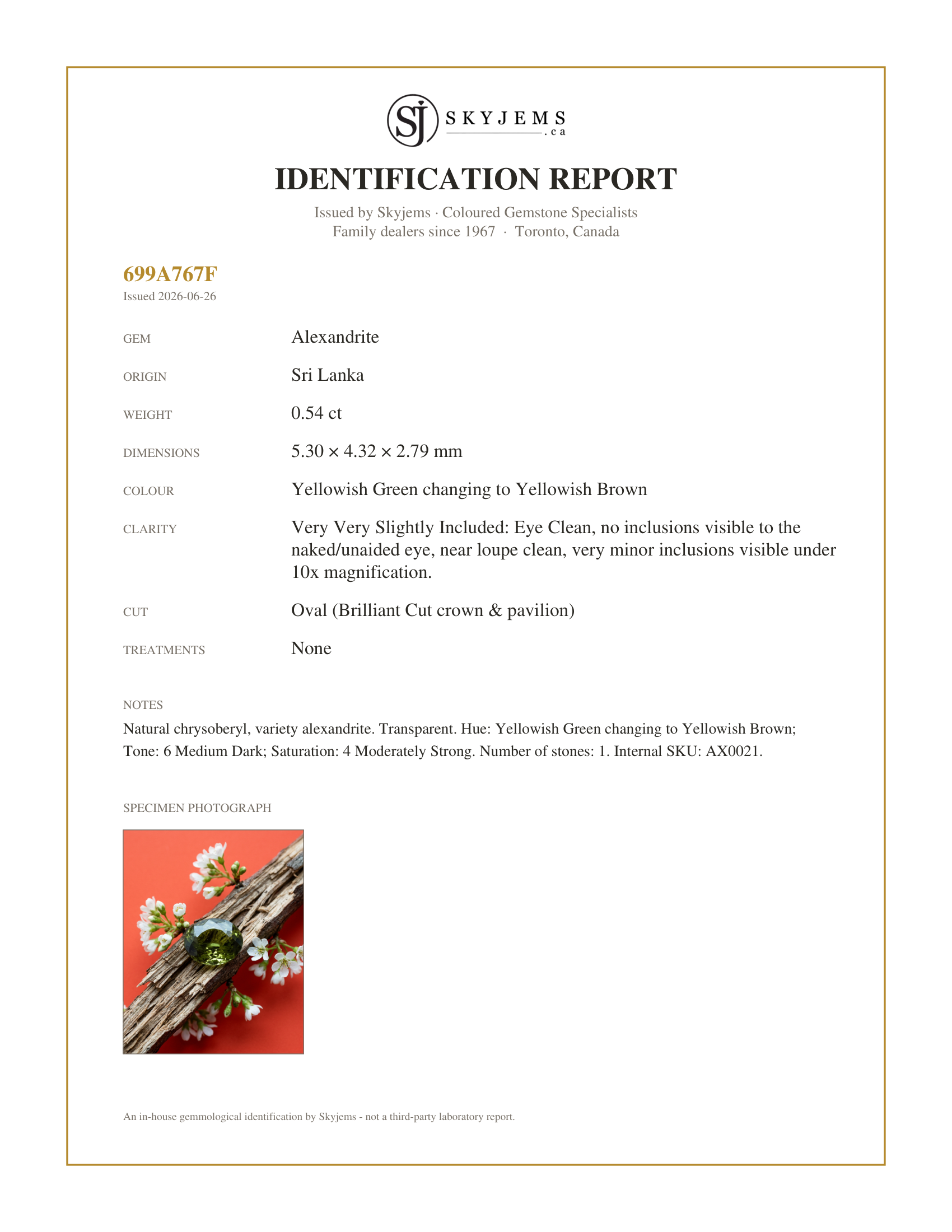 Skyjems Identification Report for AX0021 — 0.54ct Oval Yellowish Green to Yellowish Brown Alexandrite from Sri Lanka, Unheated