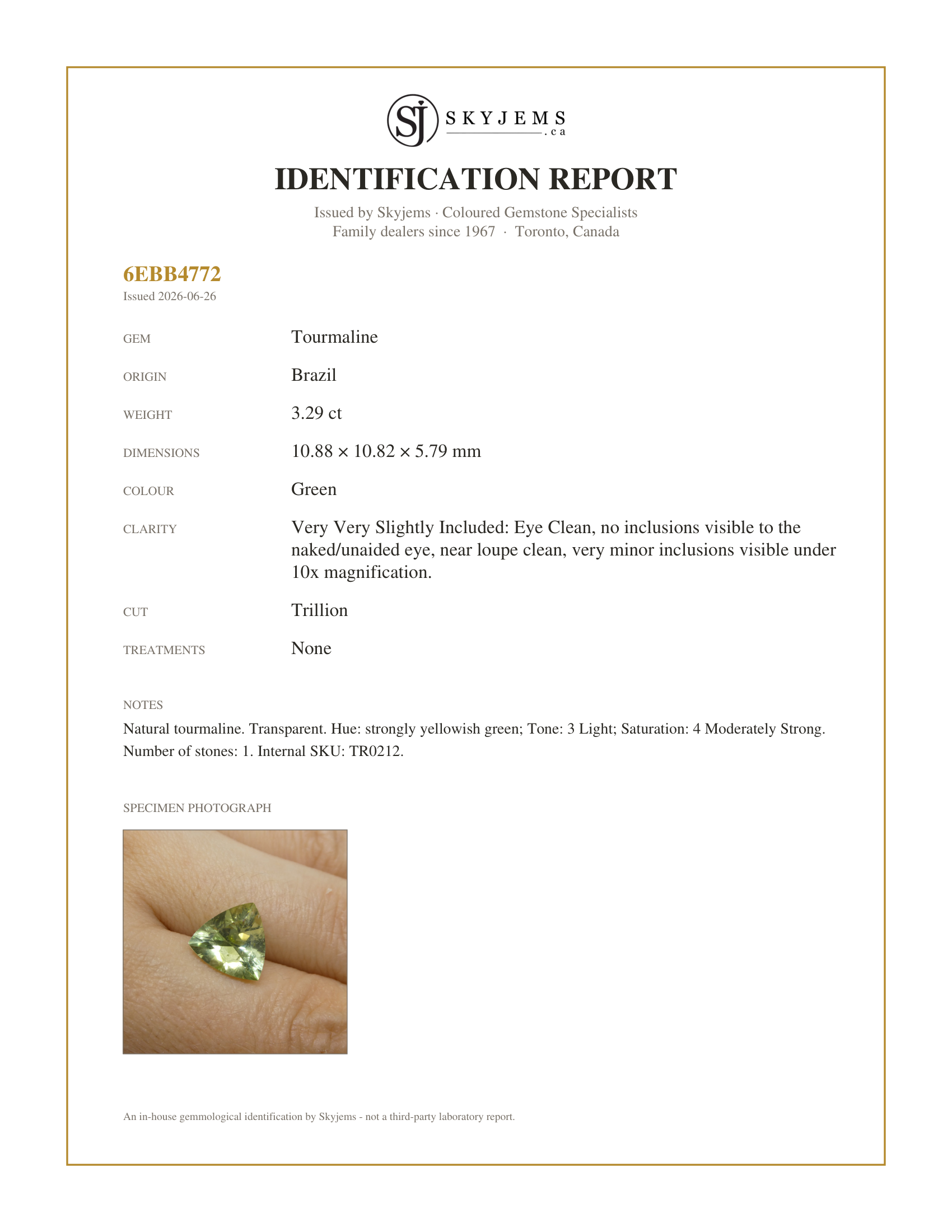 Skyjems Identification Report for TR0212 — 3.29ct Trillion Green Tourmaline