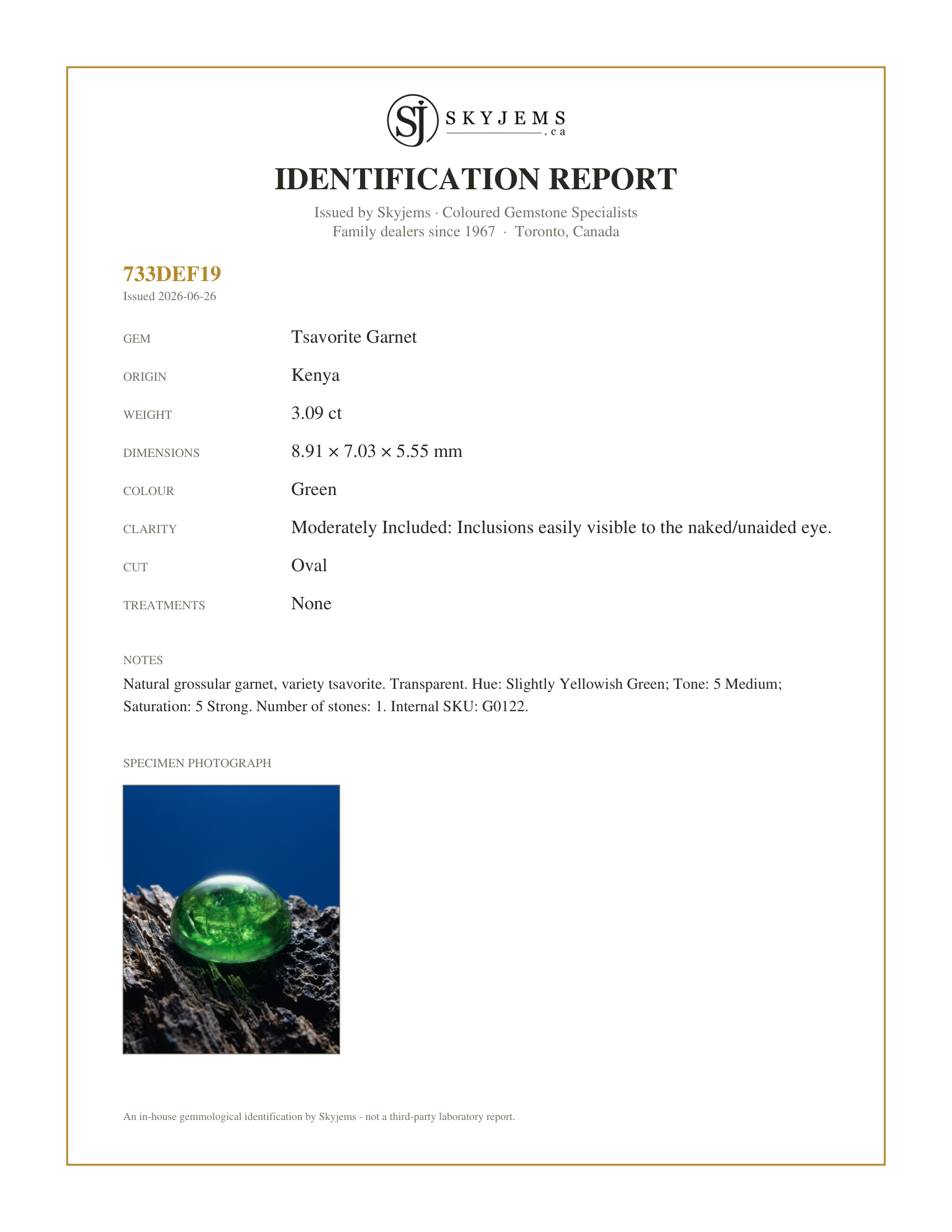 Skyjems Identification Report for G0122 — 3.09ct Oval Cabochon Green Tsavorite Garnet from Kenya, Unheated
