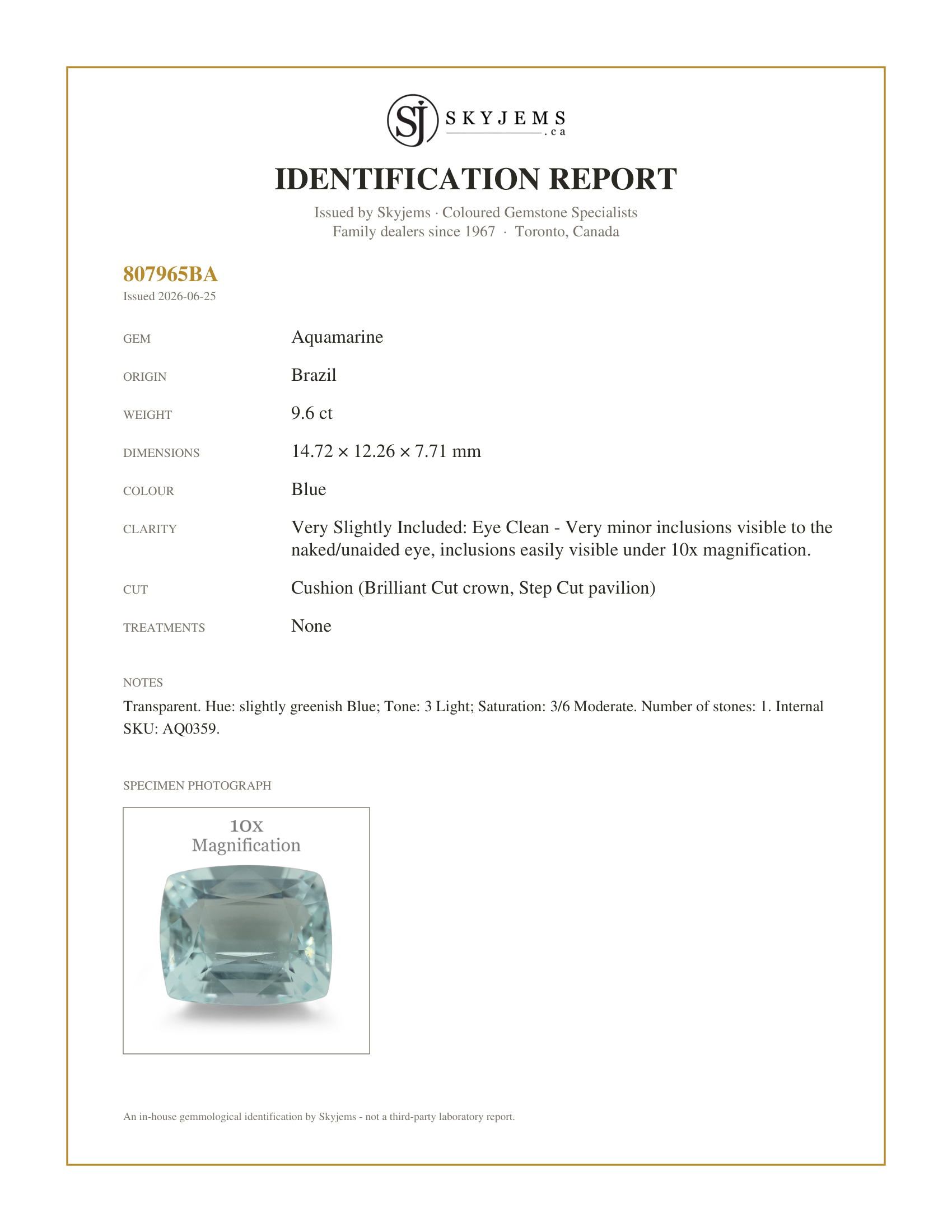 Skyjems Identification Report for AQ0359 — 9.6ct Cushion Aquamarine