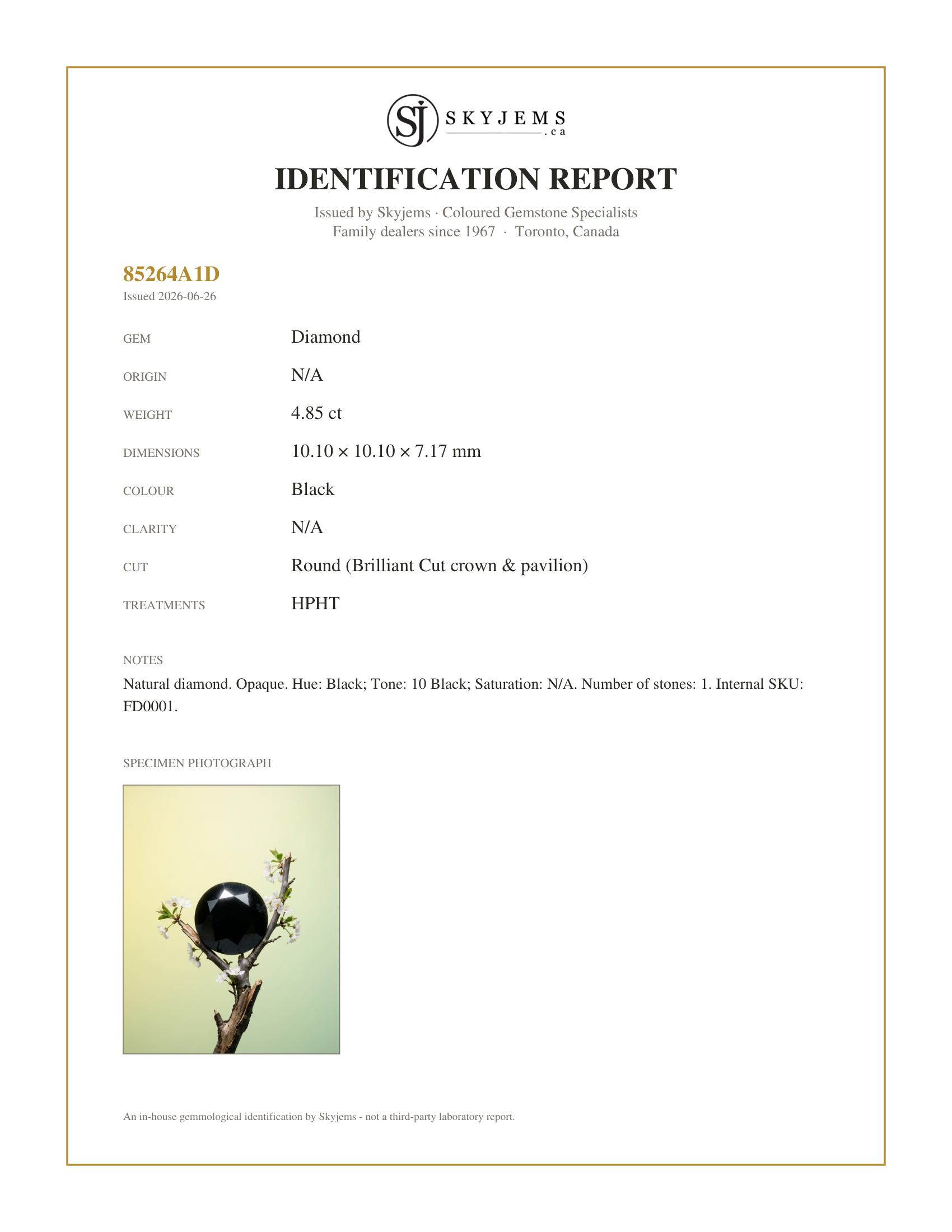 Skyjems Identification Report for FD0001 — 4.85ct Round Brilliant Cut Black Diamond