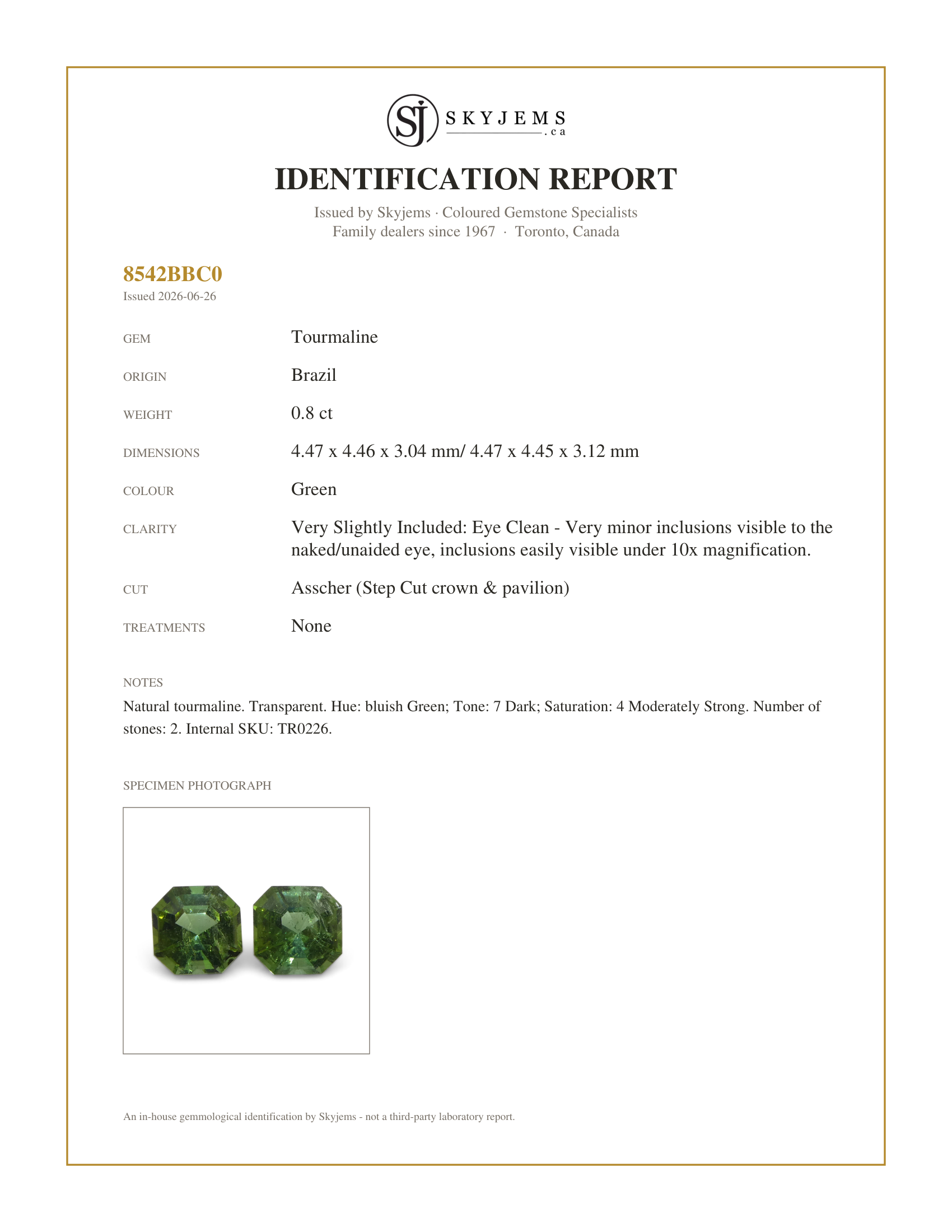 Skyjems Identification Report for TR0226 — 0.8ct Pair Asscher Green Tourmaline