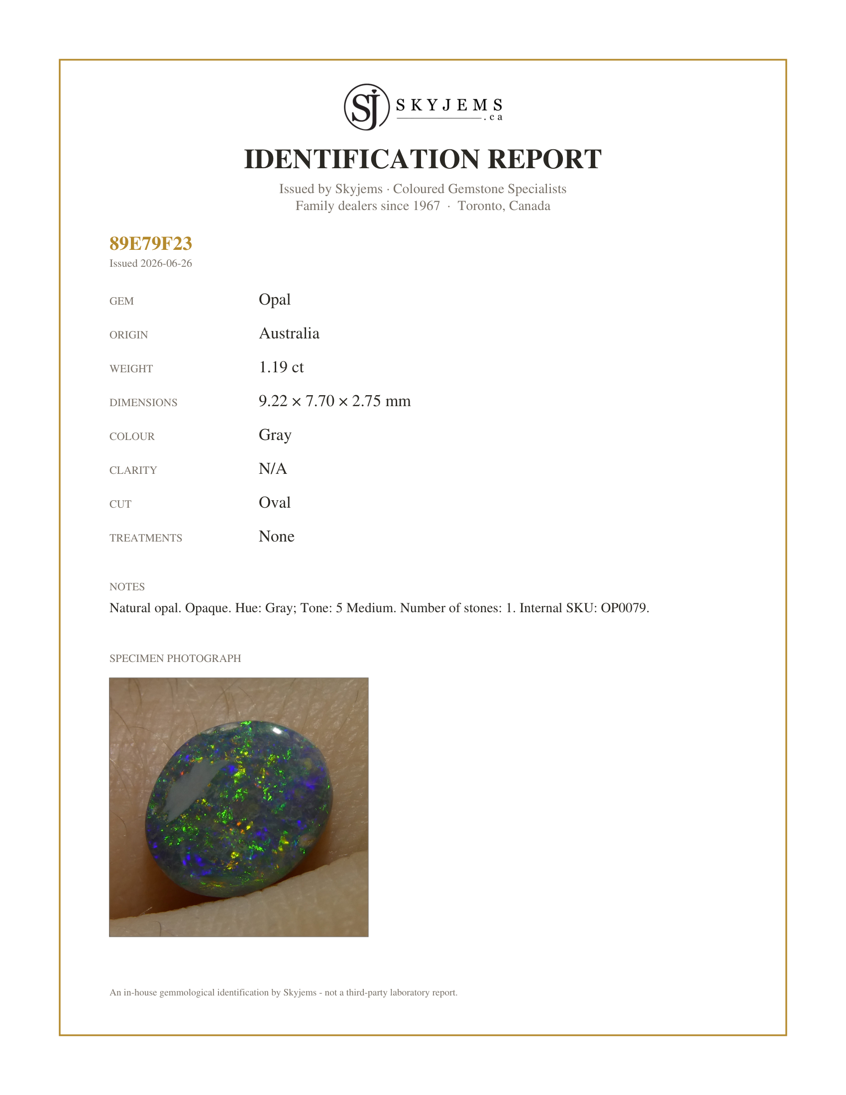 Skyjems Identification Report for OP0079 — 1.19ct Oval Cabochon Gray Opal from Australia