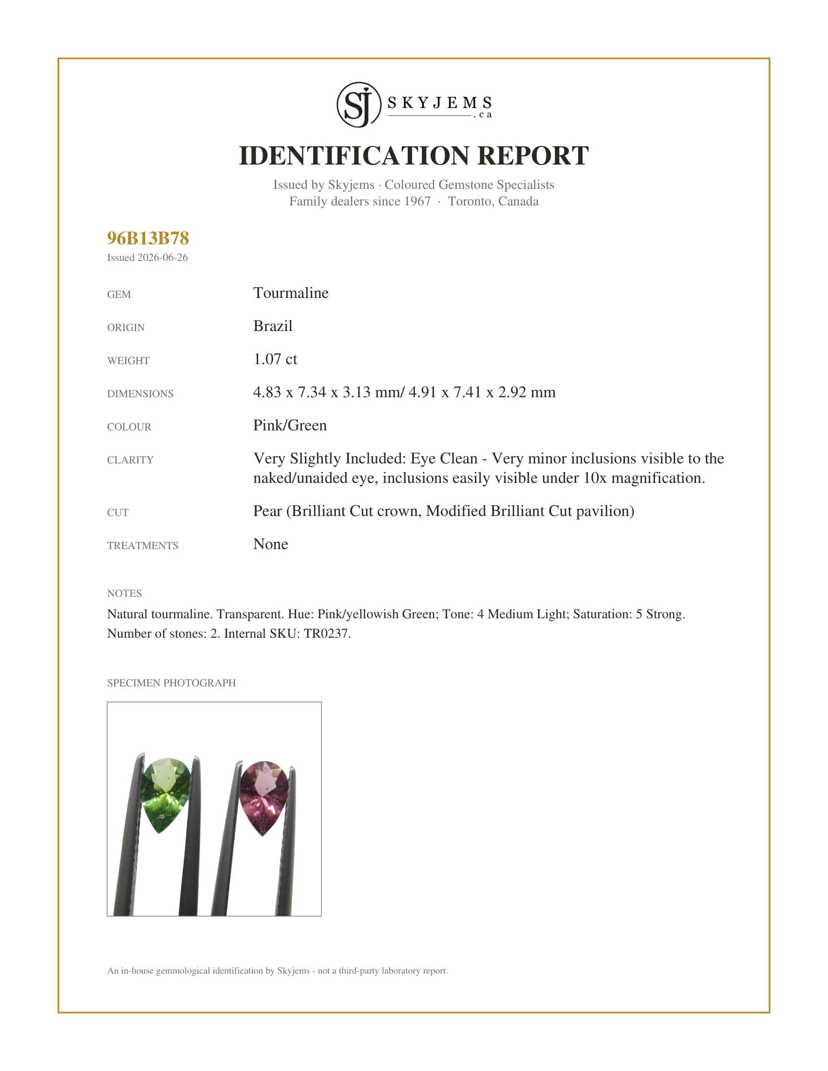 Skyjems Identification Report for TR0237 — 1.07ct Pair Pear Pink/Green Tourmaline