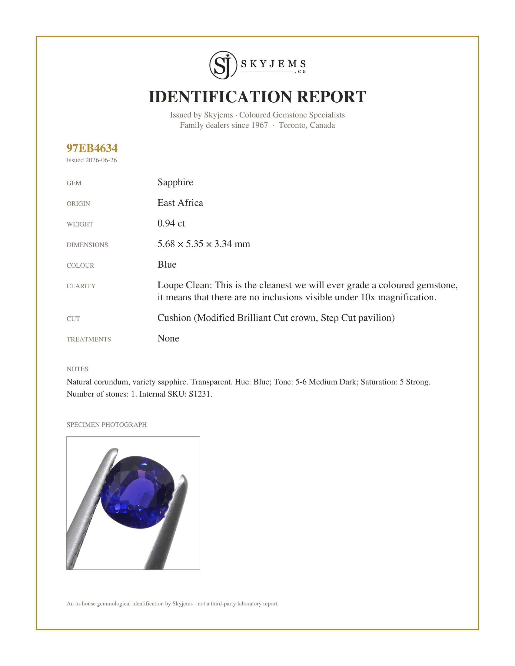 Skyjems Identification Report for S1231 — 0.94ct Cushion Blue Sapphire from East Africa, Unheated