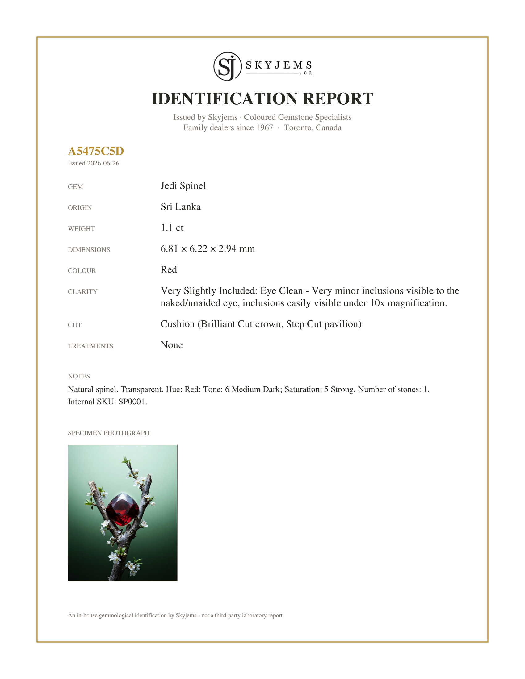 Skyjems Identification Report for SP0001 — 1.1ct Cushion Red Jedi Spinel from Sri Lanka