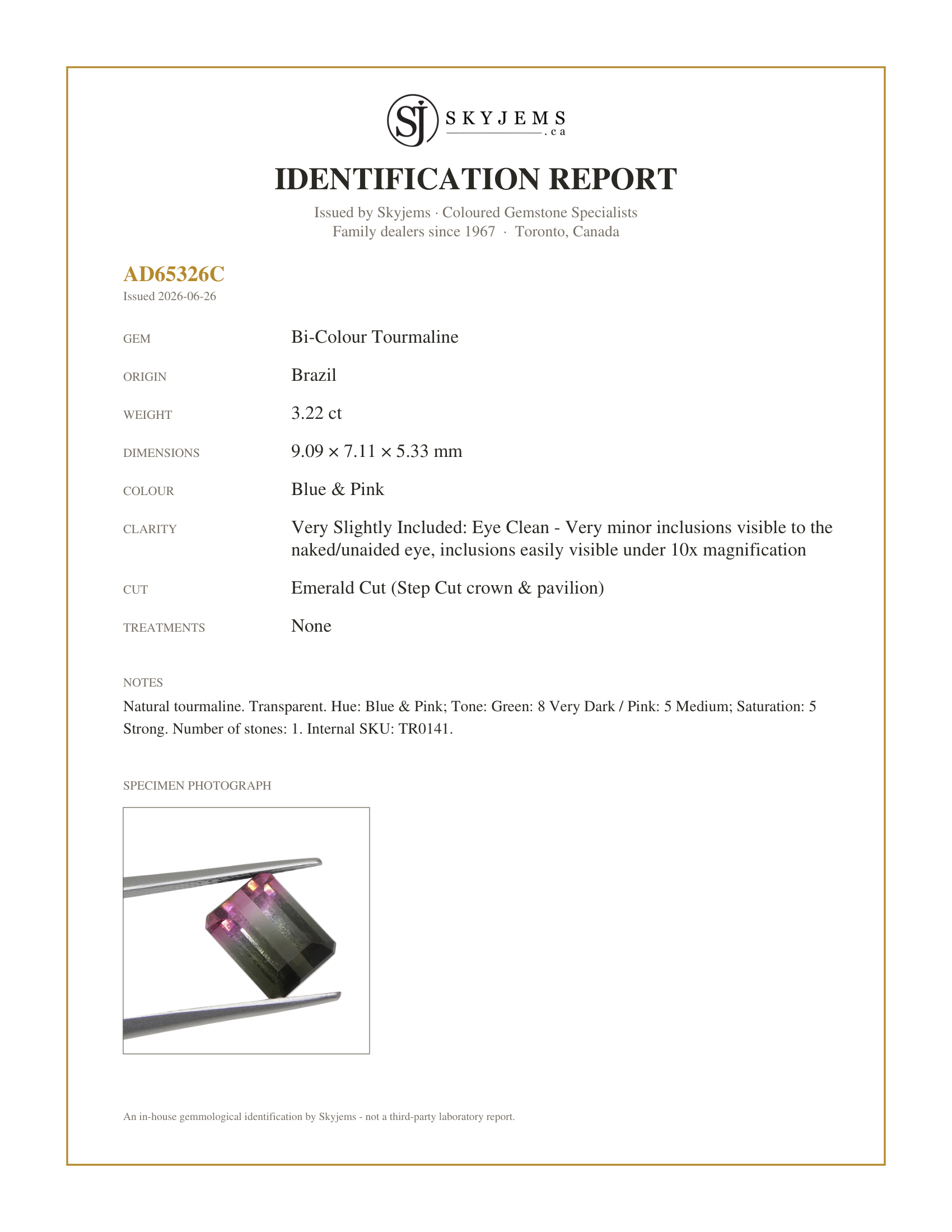 Skyjems Identification Report for TR0141 — 3.22ct Emerald Cut Blue & Pink Bi-Colour Tourmaline