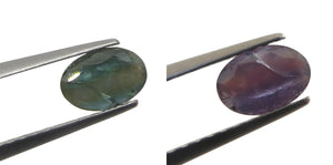 0.5ct Oval Bluish Green to Pinkish Purple Alexandrite from India - Skyjems Wholesale Gemstones