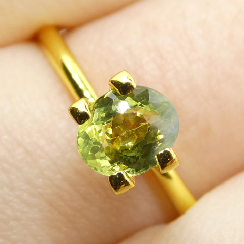 0.9ct Oval Yellowish Green to Greenish Yellow Alexandrite from Sri Lanka, Unheated