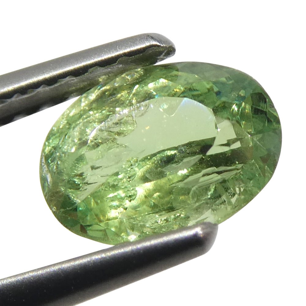 0.96ct Oval Yellowish Green to Greenish Yellow Alexandrite from Brazil, Unheated - Skyjems Wholesale Gemstones