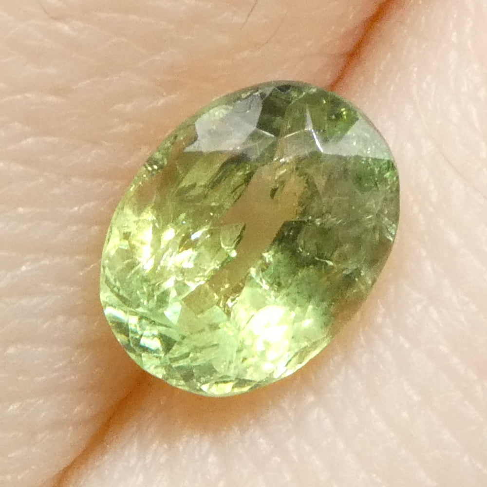 0.96ct Oval Yellowish Green to Greenish Yellow Alexandrite from Brazil, Unheated - Skyjems Wholesale Gemstones