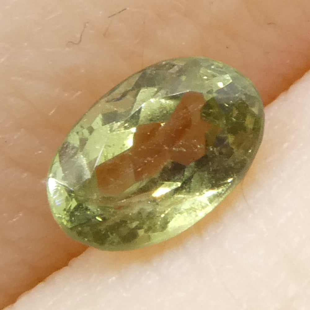 0.47ct Oval Yellowish Green to Greyish Purple Alexandrite from Brazil, Unheated - Skyjems Wholesale Gemstones