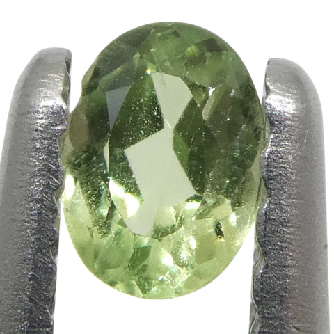 0.22ct Oval Yellowish Green to Greyish Purple Alexandrite from Brazil, Unheated