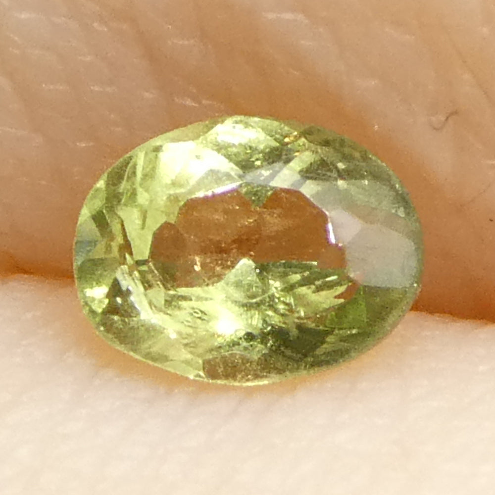 0.24ct Oval Yellowish Green to Yellowish Brown Alexandrite from Brazil, Unheated - Skyjems Wholesale Gemstones