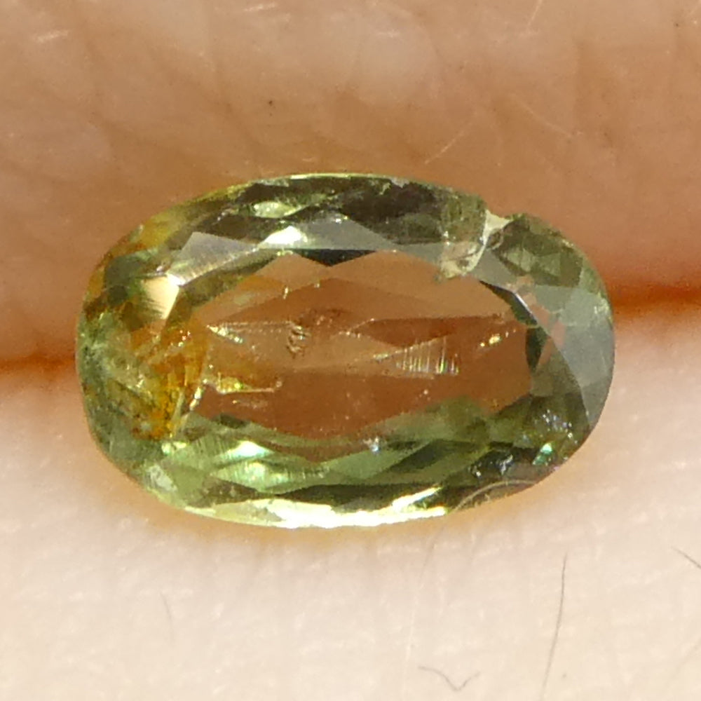 0.25ct Oval Yellowish Green to Greyish Purple Alexandrite from Brazil, Unheated - Skyjems Wholesale Gemstones