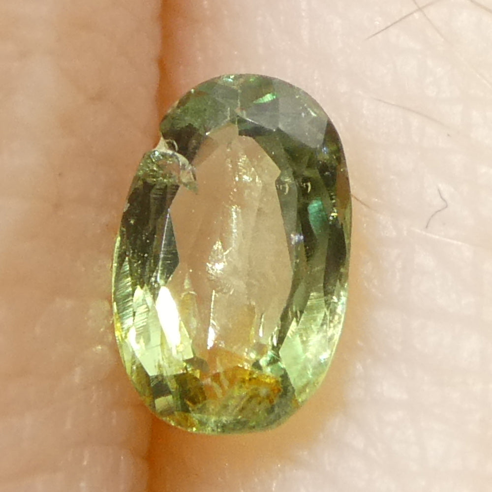 0.25ct Oval Yellowish Green to Greyish Purple Alexandrite from Brazil, Unheated - Skyjems Wholesale Gemstones