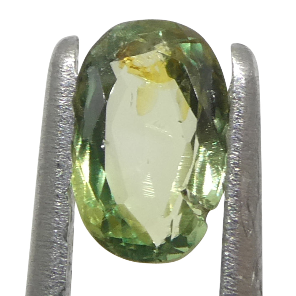 0.25ct Oval Yellowish Green to Greyish Purple Alexandrite from Brazil, Unheated - Skyjems Wholesale Gemstones