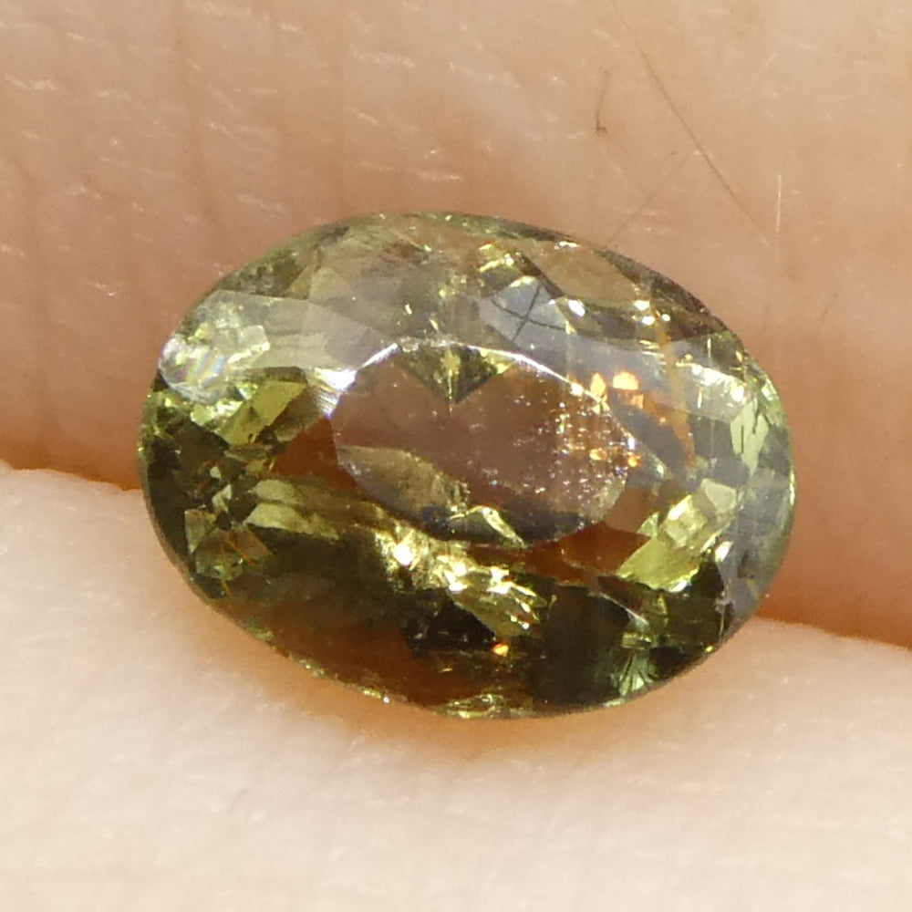 0.65ct Oval Greenish Yellow changing to Purple Alexandrite from Sri Lanka, Unheated - Skyjems Wholesale Gemstones