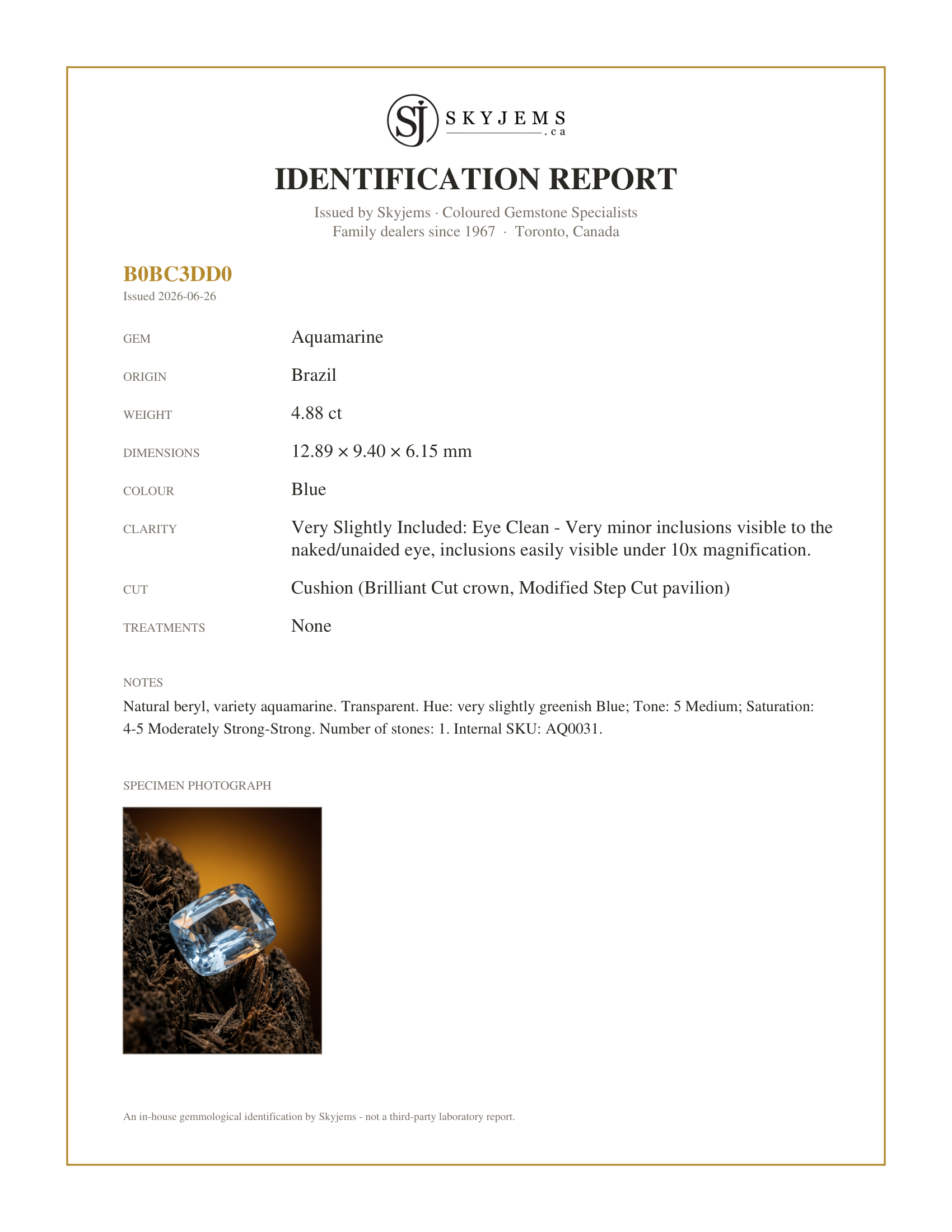 Skyjems Identification Report for AQ0031 — 4.88ct Cushion Blue Aquamarine from Brazil