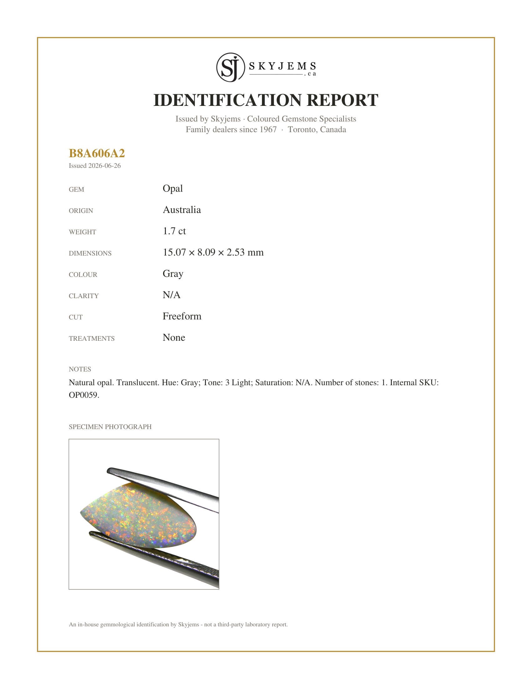 Skyjems Identification Report for OP0059 — 1.7ct Freeform Cabochon Gray Opal from Australia