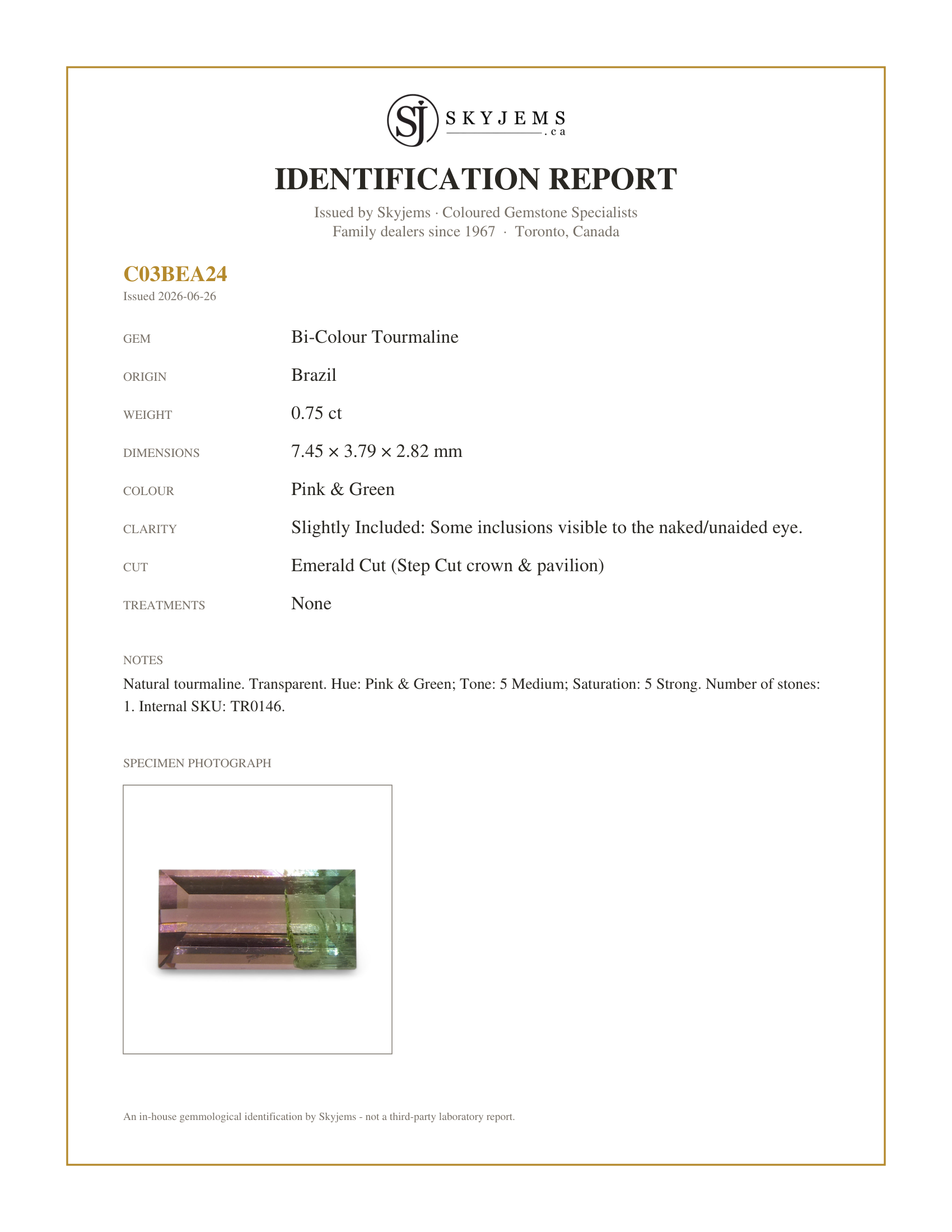 Skyjems Identification Report for TR0146 — 0.75ct Emerald Cut Pink & Green Bi-Colour Tourmaline