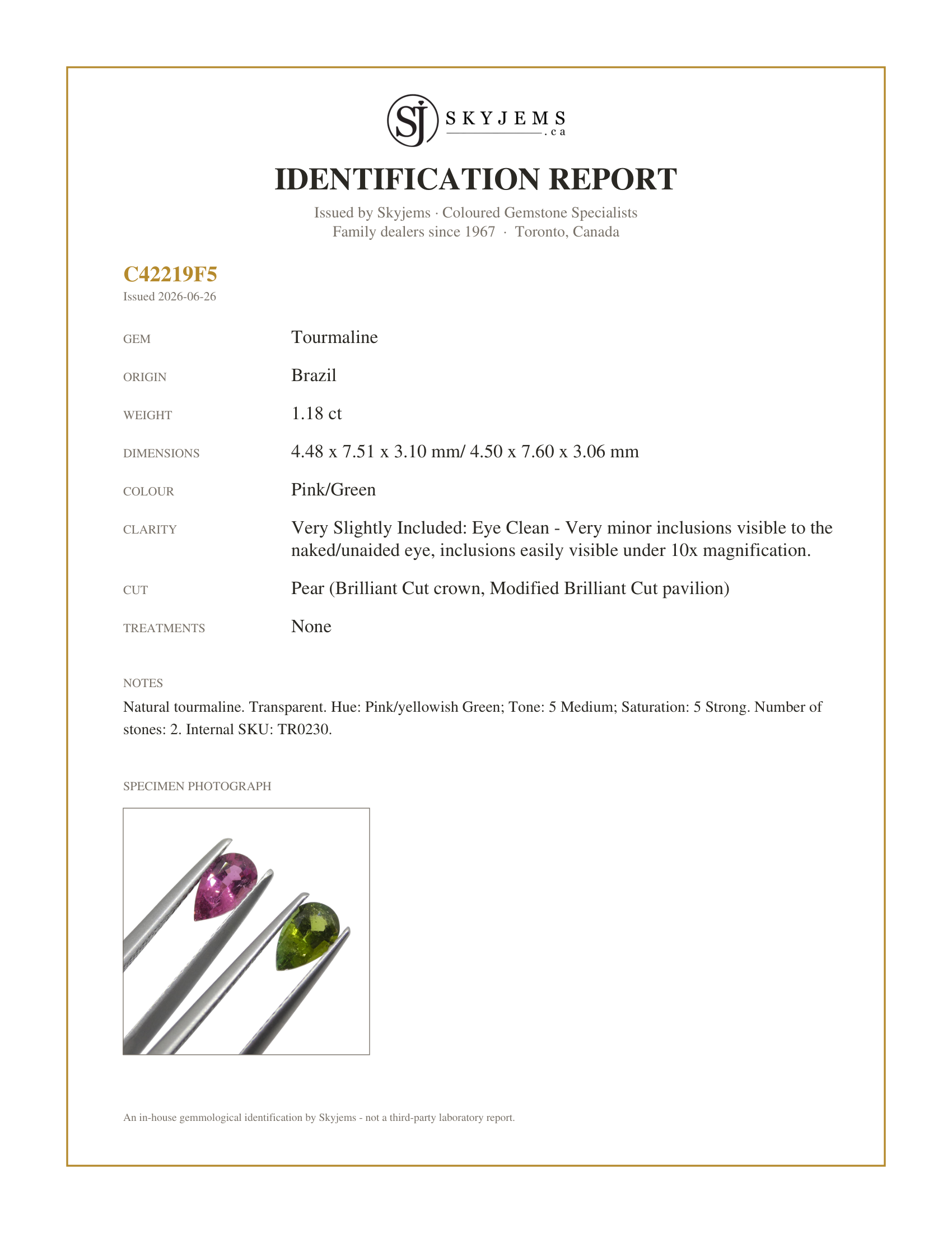 Skyjems Identification Report for TR0230 — 1.18ct Pair Pear Pink/Green Tourmaline