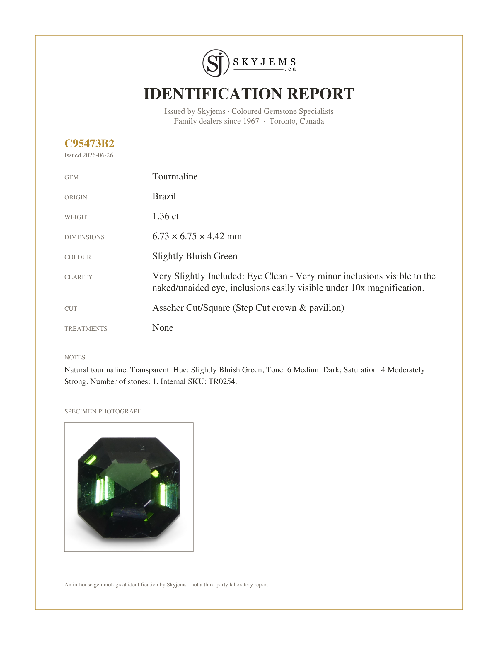 Skyjems Identification Report for TR0254 — 1.36ct Asscher Cut/Square Green Tourmaline