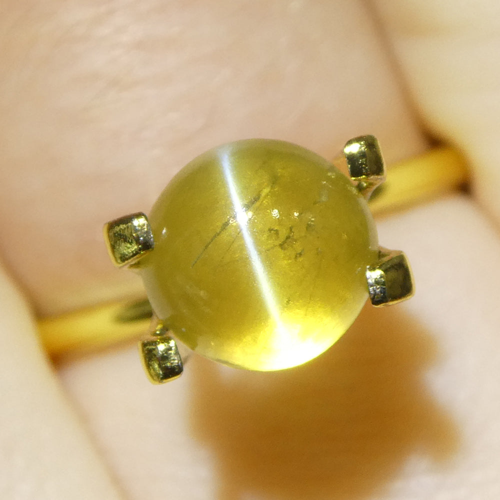 3.06ct Round Cabochon Greenish-Yellow Cats Eye Chrysoberyl - Skyjems Wholesale Gemstones