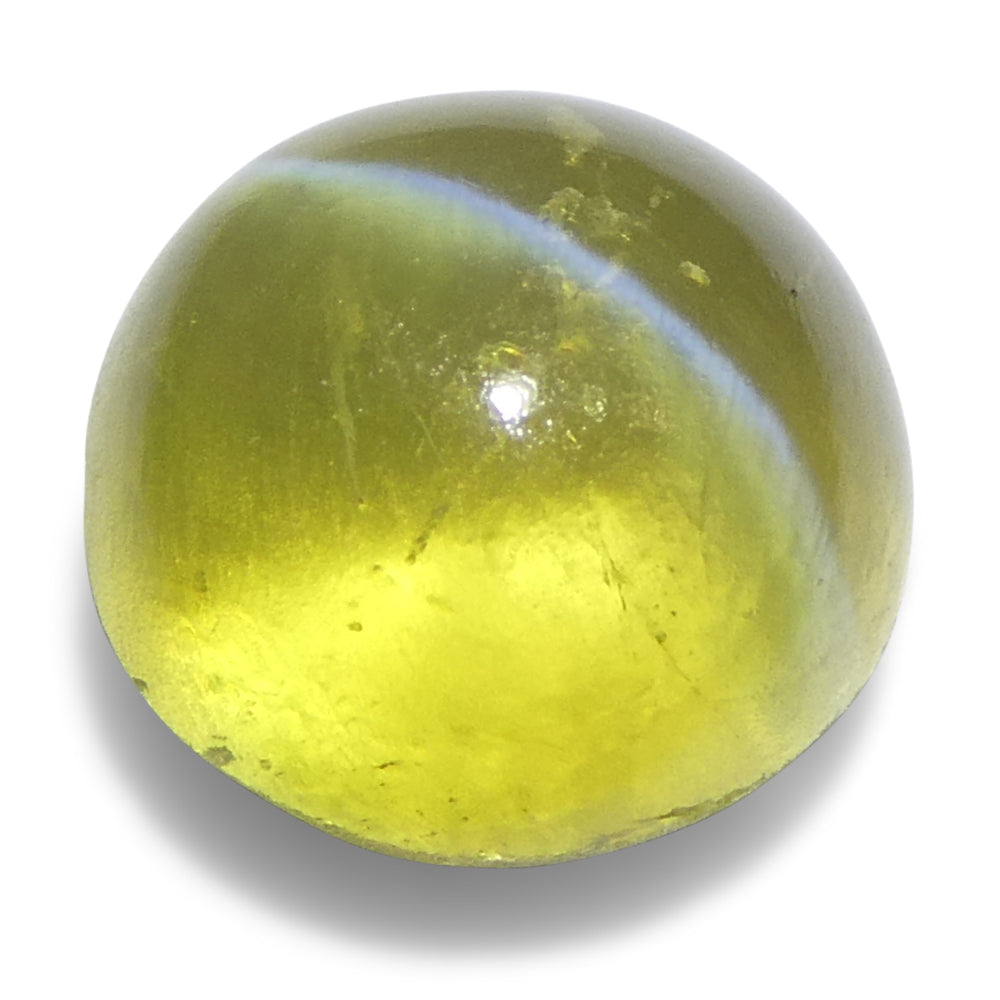 3.06ct Round Cabochon Greenish-Yellow Cats Eye Chrysoberyl - Skyjems Wholesale Gemstones