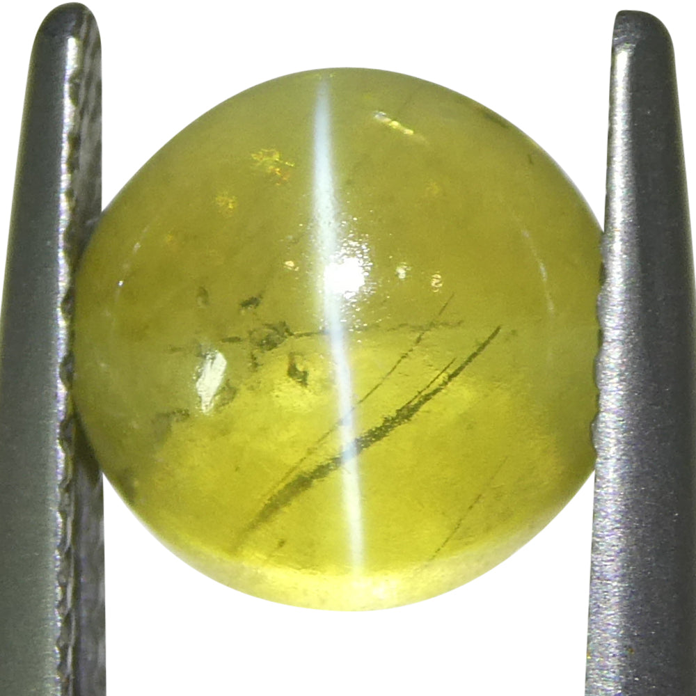 3.06ct Round Cabochon Greenish-Yellow Cats Eye Chrysoberyl - Skyjems Wholesale Gemstones
