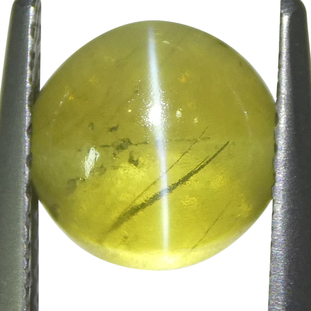 3.06ct Round Cabochon Greenish-Yellow Cats Eye Chrysoberyl from Sri Lanka