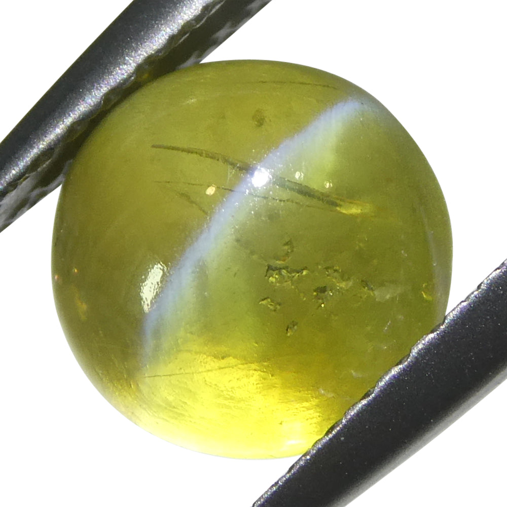 3.06ct Round Cabochon Greenish-Yellow Cats Eye Chrysoberyl - Skyjems Wholesale Gemstones