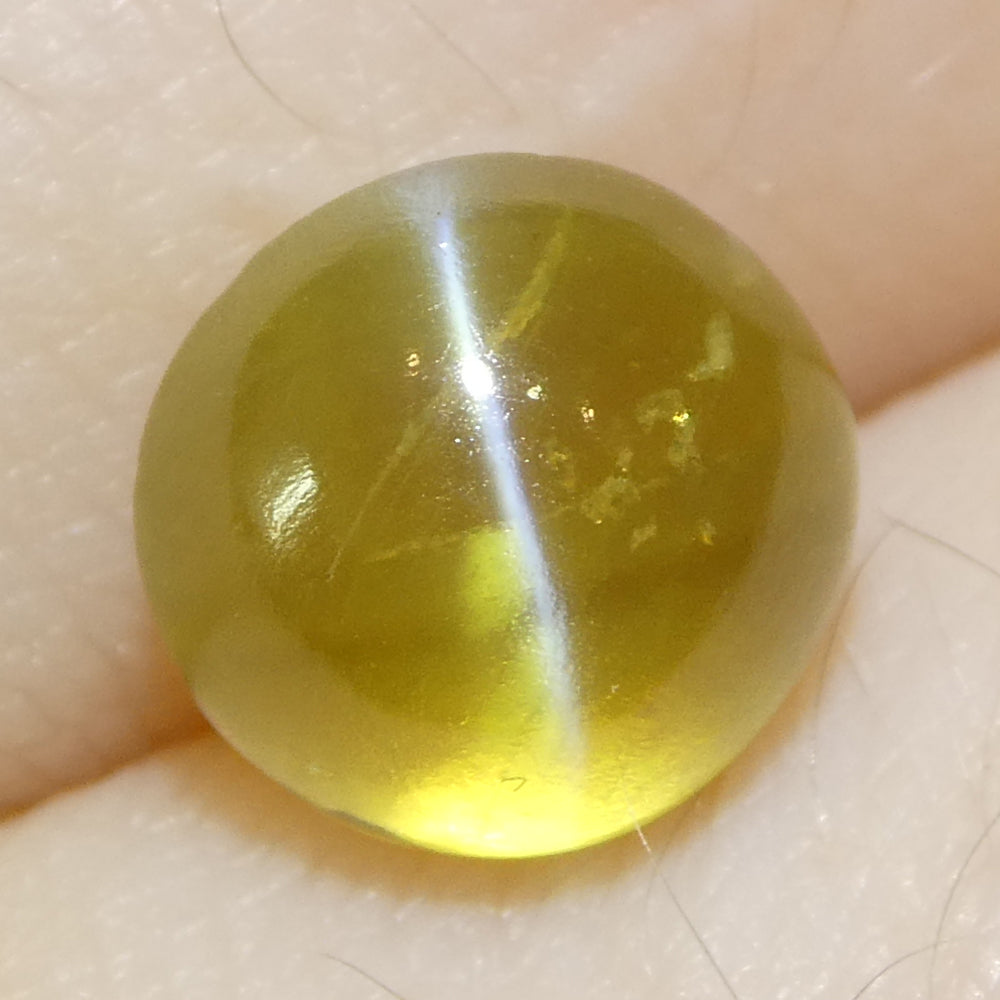 3.06ct Round Cabochon Greenish-Yellow Cats Eye Chrysoberyl - Skyjems Wholesale Gemstones