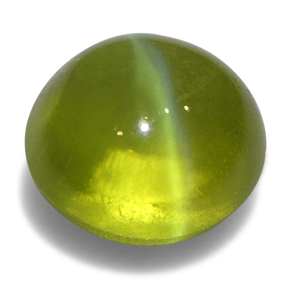 1.55ct Oval Cabochon Greenish Yellow Cats Eye Chrysoberyl - Skyjems Wholesale Gemstones